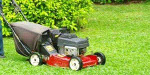 Garden Lawn Maintenance
