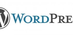 Wordpress Services