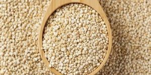 Quinoa Seeds