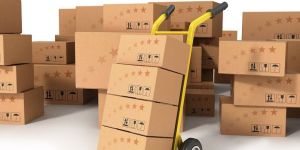 Packers and Movers Services