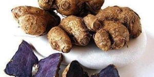 Black Turmeric