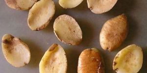 Olivier Ogorionu Natural Seed