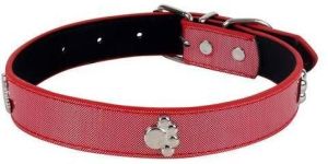 Adjustable Shinning Dog Collar