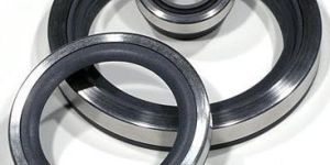 Oil Seal