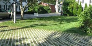 Grass Concrete Paver