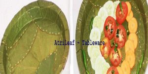 Disposable Dinnerware