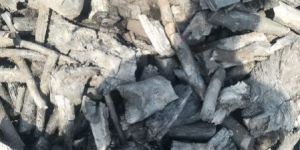Wood Charcoal