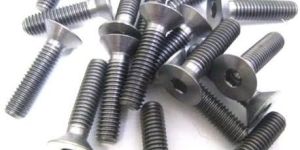 Stainless Steel Bolt