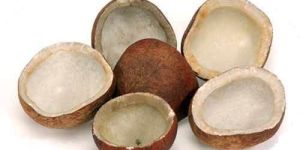 Organic Copra Coconut