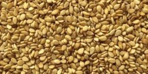 Natural Sesame Seed