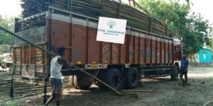 Construction Bamboo Poles