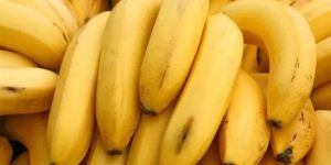 Fresh Cavendish Banana
