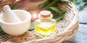 Eucalyptus Oil