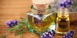 Lavender Oil