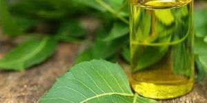 Neem Oil