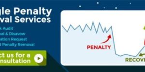 Google Penalty Removal Services