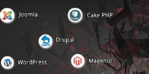 Mobile App Expertise Services