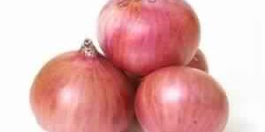 Fresh Onion