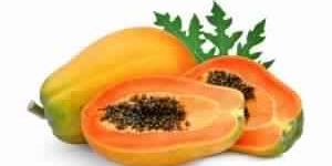 Fresh Papaya
