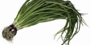 Fresh Spring Onion
