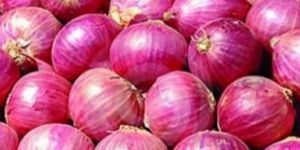 Fresh Onion
