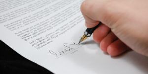 Company Name Change Services