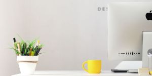 One Person Company Registration Services