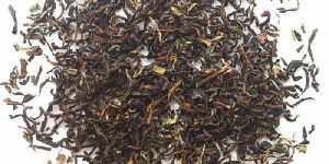 Darjeeling Special Black Tea
