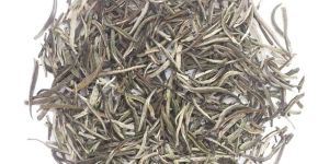 Silver Needles White Tea