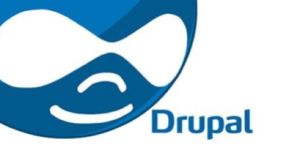 Drupal Training Services