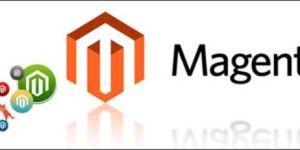 Magento Training Services