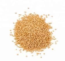 Organic Amaranth Seeds