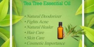 Tea Tree Essential Oil