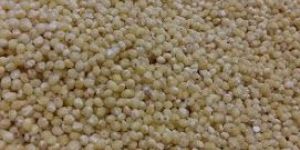 Millet Grain