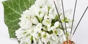 Mogra Incense Sticks