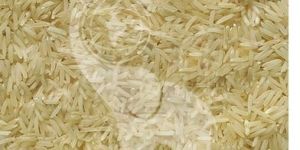 Sugandha Basmati Rice