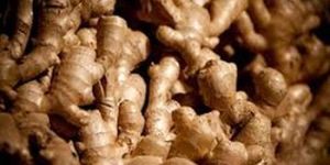 Fresh Ginger
