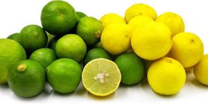 Fresh Lemon