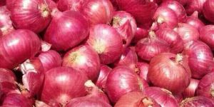 Fresh Pink Onion