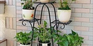Planter Stand