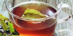 Organic Tulsi Concentrate