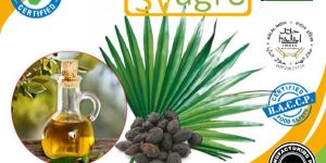 Saw Palmetto Oil