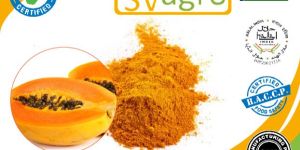 Spray Dried Papaya Powder