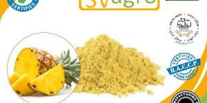 Spray Dried Pineapple Powder
