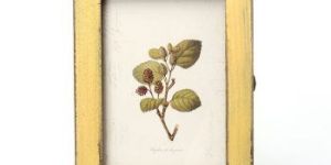 Unique Vintage Photo Frames