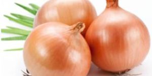 Fresh Yellow Onion