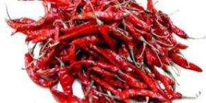 Whole Chili with Stem