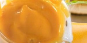 Totapuri Mango Concentrate