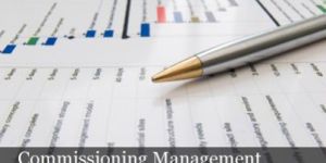 Commissioning Management Services
