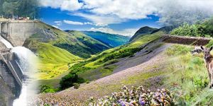 Self Drive Car Rental Services in Munnar